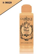 Style Mat Akrilik Boya S-9029 Bisküvi 120ml